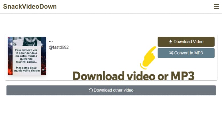 Download Snack Video on PC